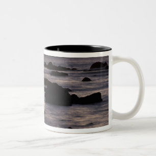 Caneca De Café Em Dois Tons EUA, Washington, Parque Nacional Olímpico, Seastac
