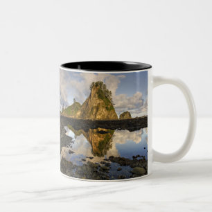 Caneca De Café Em Dois Tons EUA, Washington, Parque Nacional Olímpico. Um