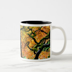 Caneca De Café Em Dois Tons EUA, Washington, Seattle, Jardim Kubota.