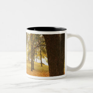 Caneca De Café Em Dois Tons EUA, Washington, Spokane, Manito Park, Outono 2