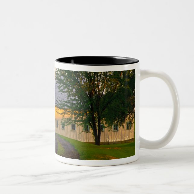 Caneca De Café Em Dois Tons EUA, Washington, The Palouse (Direita)