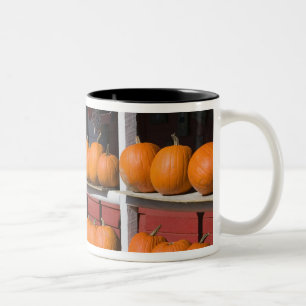 Caneca De Café Em Dois Tons EUA, WISCONSIN, Washburn: Costa do Lago Superior,