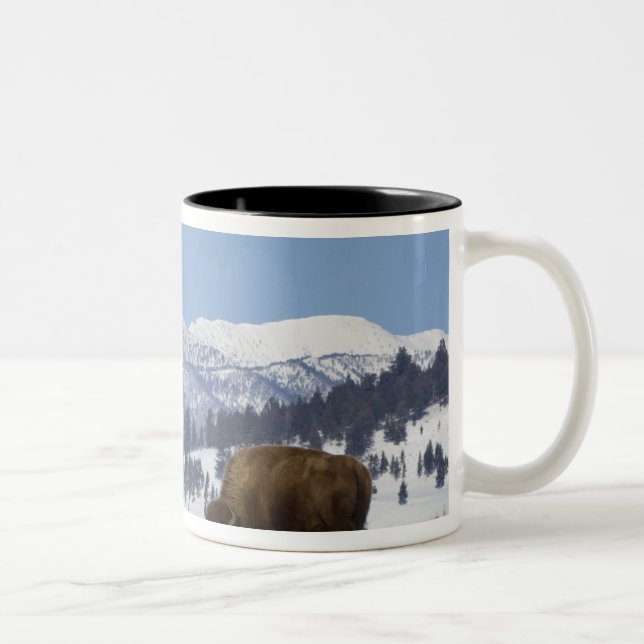 Caneca De Café Em Dois Tons EUA, WY, Parque Nacional Yellowstone, Bisonte Amer (Direita)