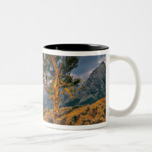 Caneca De Café Em Dois Tons EUA, Wyoming, Grand Teton NP. O nascer do sol cump