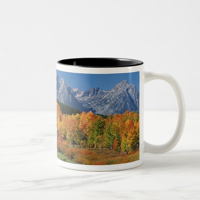 Caneca De Café Em Dois Tons EUA, Wyoming, Grand Tetons National Park em (Direita)