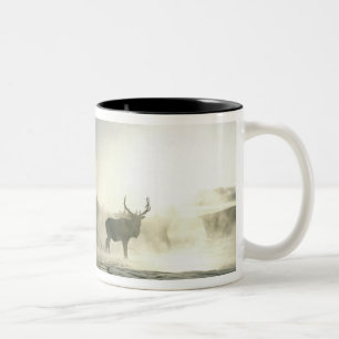 Caneca De Café Em Dois Tons EUA, Wyoming, Parque Nacional de Yellowstone. Nasc