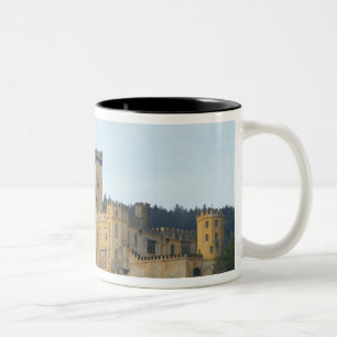 Caneca De Café Em Dois Tons Europa, Alemanha, perto de Koblenz, Castelo Schlos
