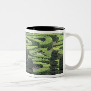 Caneca De Café Em Dois Tons Europa, França, Indre, et, Loire; Loire