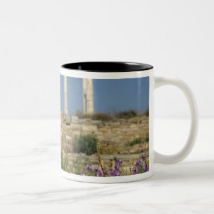 Caneca De Café Em Dois Tons Europa, Grécia, Cíclades, Delos. Ruínas de colu