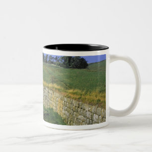 Caneca De Café Em Dois Tons Europa, Inglaterra, Muralha de Adriano. As pedras 