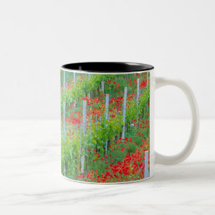 Caneca De Café Em Dois Tons Europa, Itália, Toscana. Papoulas vermelhas colori