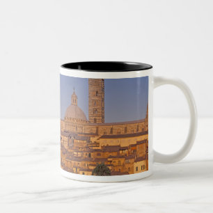 Caneca De Café Em Dois Tons Europa, Itália, Toscana, Siena. Século 13