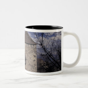Caneca De Café Em Dois Tons Europa, Liechtenstein, Vaduz. Castelo de Vaduz,