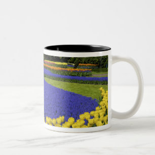 Caneca De Café Em Dois Tons Europa, Países Baixos, Holanda, Lisse, Keukenhof