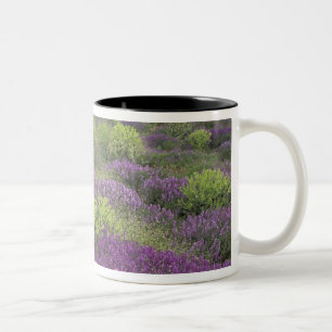 Caneca De Café Em Dois Tons Europa, Turquia, Capadócia. Paisagem rural 3
