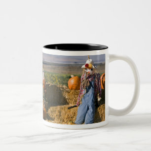Caneca De Café Em Dois Tons Exposição de abóbora com fardos de feno e espantal