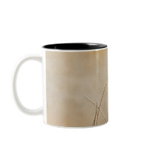 Faísca com coroação branca