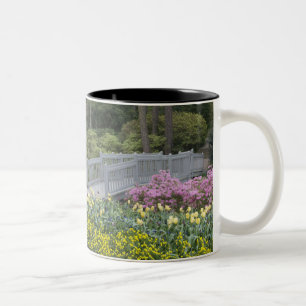 Caneca De Café Em Dois Tons Família Azaléia Heath (Ericaceae), Tulipa, e