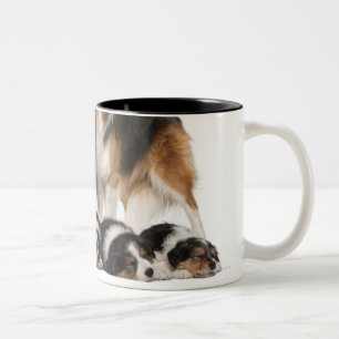 Caneca De Café Em Dois Tons Família de border collie