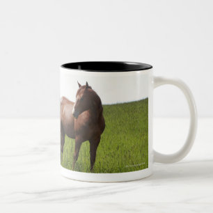 Caneca De Café Em Dois Tons Família do cavalo no campo