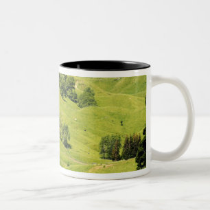 Caneca De Café Em Dois Tons Farmland perto de Gisborne, Nova Zelândia