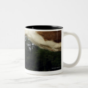 Caneca De Café Em Dois Tons Feche acima da vaca na paisagem rural