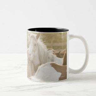 Caneca De Café Em Dois Tons Feche acima de um rebanho dos cavalos