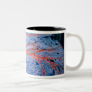 Caneca De Café Em Dois Tons Feche acima do coral, Okinawa, Japão