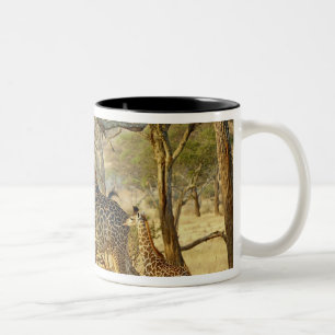 Caneca De Café Em Dois Tons Fêmea adulta e girafa jovem, Giraffa