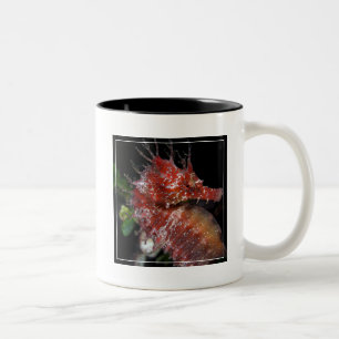 Caneca De Café Em Dois Tons Fêmea Begur do pônei do cavalo marinho