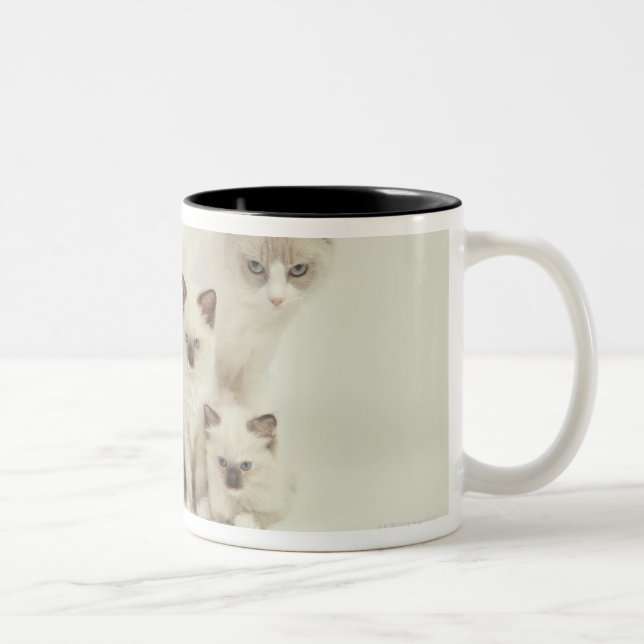 Caneca De Café Em Dois Tons Fêmea do gato de Ragdoll com gatinhos (Direita)