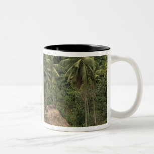 Caneca De Café Em Dois Tons Fiji, Viti Levu, Navala, Tradicional Bure houses