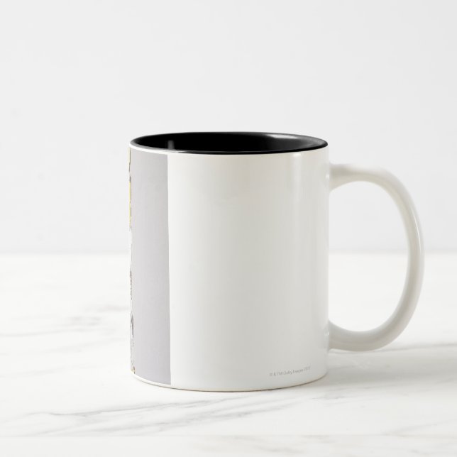Caneca De Café Em Dois Tons Fileira das borboletas (Direita)