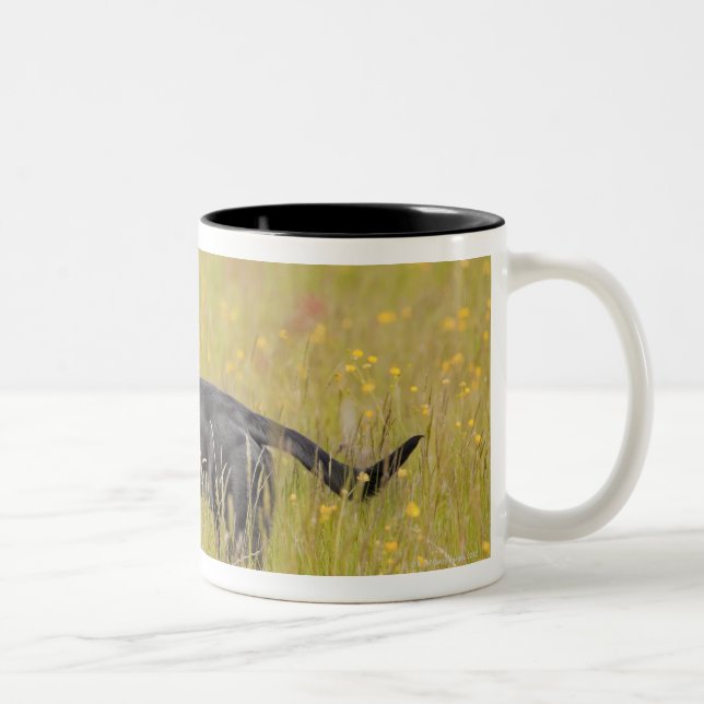 Caneca De Café Em Dois Tons Filhote de cachorro 16 meses (Direita)