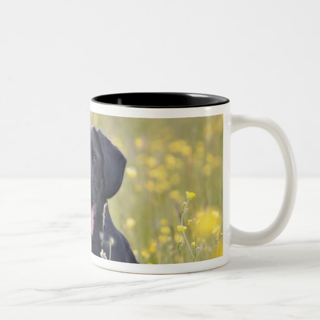 Caneca De Café Em Dois Tons Filhote de cachorro 16 meses 2 (Direita)