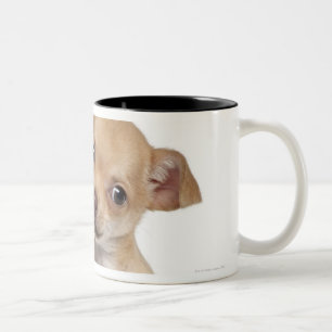 Caneca De Café Em Dois Tons Filhote de cachorro da chihuahua (2 meses velho)