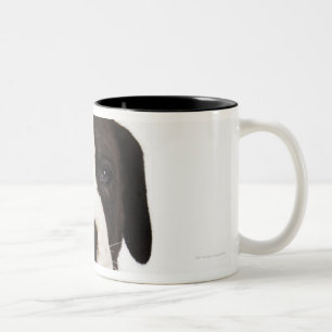 Caneca De Café Em Dois Tons Filhote de cachorro de great dane do Harlequin no
