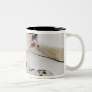 Caneca De Café Em Dois Tons Filhote de cachorro de great dane do Harlequin que