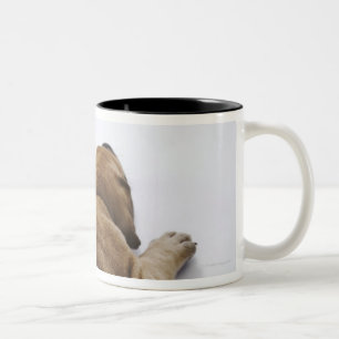 Caneca De Café Em Dois Tons Filhote de cachorro de great dane que encontra-se