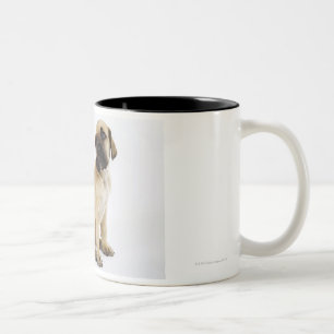 Caneca De Café Em Dois Tons Filhote de cachorro de great dane que senta-se no