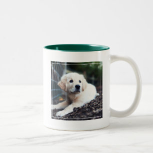 Caneca De Café Em Dois Tons Filhote de cachorro de Labrador que joga no jardim