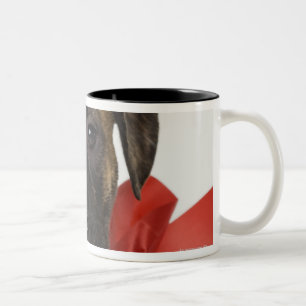 Caneca De Café Em Dois Tons Filhote de cachorro de Pitbull que veste a fita