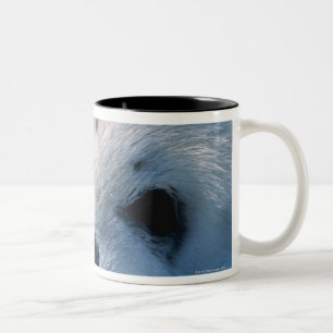 Caneca De Café Em Dois Tons Filhote de cachorro de selo 2 da harpa