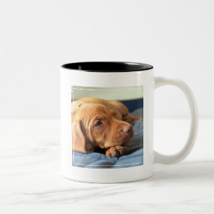 Caneca De Café Em Dois Tons Filhote de cachorro de Vizsla que descansa em sua