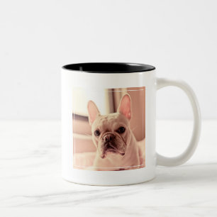 Caneca De Café Em Dois Tons Filhote de cachorro do buldogue francês