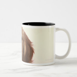Caneca De Café Em Dois Tons Filhote de cachorro do golden retriever