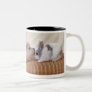 Caneca De Café Em Dois Tons Filhote de cachorro e coelho