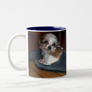 Caneca De Café Em Dois Tons Filhote de cachorro em um deslizador