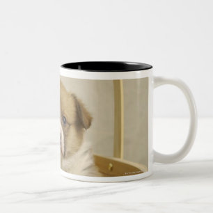 Caneca De Café Em Dois Tons Filhote de cachorro em uma cesta