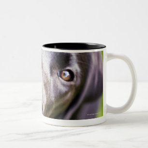 Caneca De Café Em Dois Tons Filhote de cachorro preto de Labrador que olha